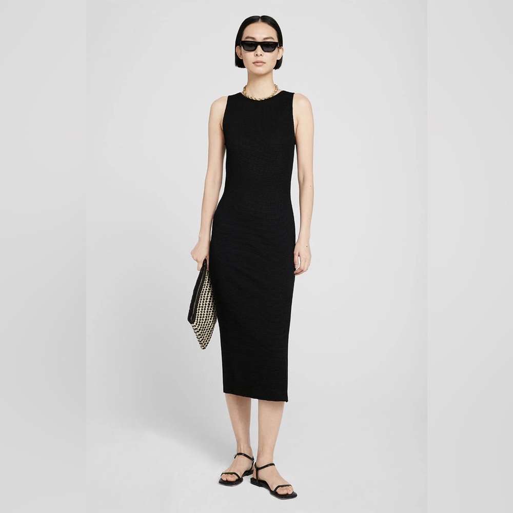 NWT Anine Bing Savannah Dress